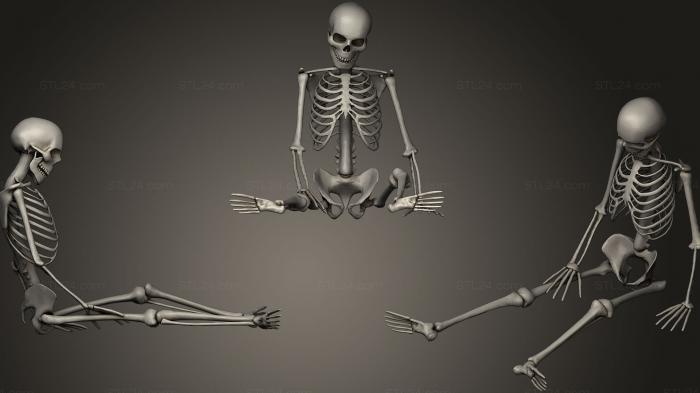 Анатомия скелеты и черепа (Набор человеческих костей4, ANTM_0687) 3D модель для ЧПУ станка